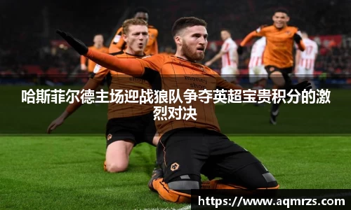 哈斯菲尔德主场迎战狼队争夺英超宝贵积分的激烈对决