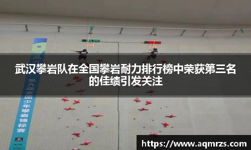 武汉攀岩队在全国攀岩耐力排行榜中荣获第三名的佳绩引发关注